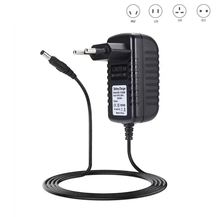 Chargeur adaptateur 30V 1A AC/DC pour aspirateur Bosch Athlet 25.2V DYF-S-A030500 YLS0241A-E300050 1