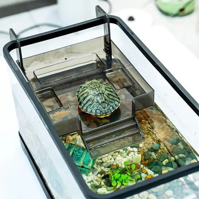 Dock de se prélasser pour tortues aquatiques, île de repos flottante pour tortues aquatiques, décor de réservoir de Reptile en Terrapin, accessoires d'habitat pour animaux de compagnie