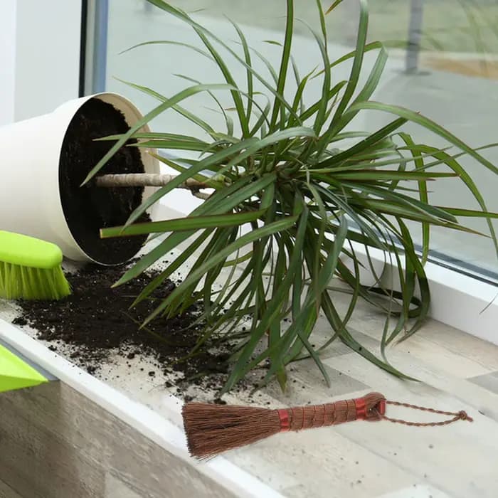 Brosse de jardinage pour bonsaï