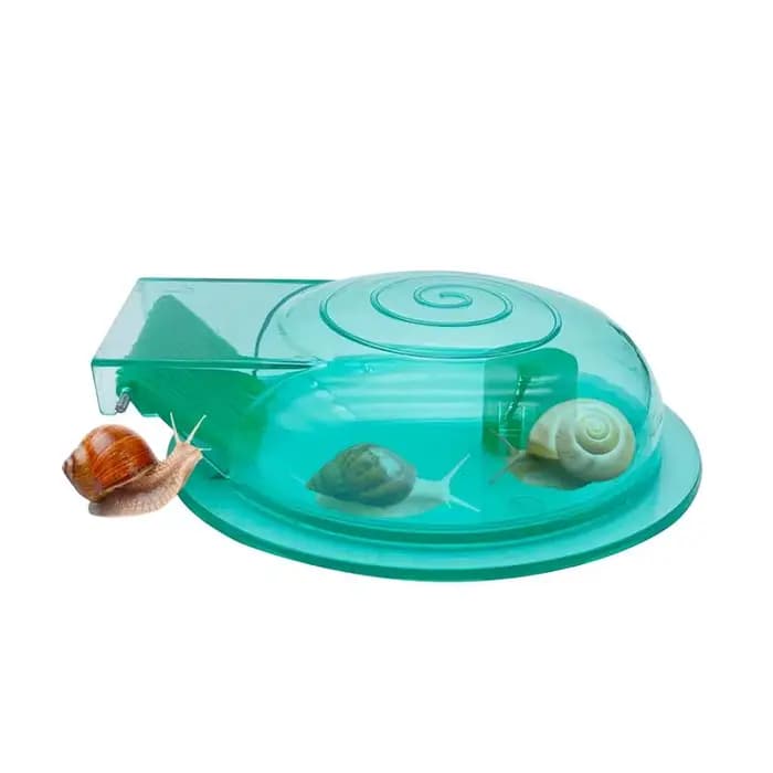 Attrape-escargot Transparent pour Aquarium