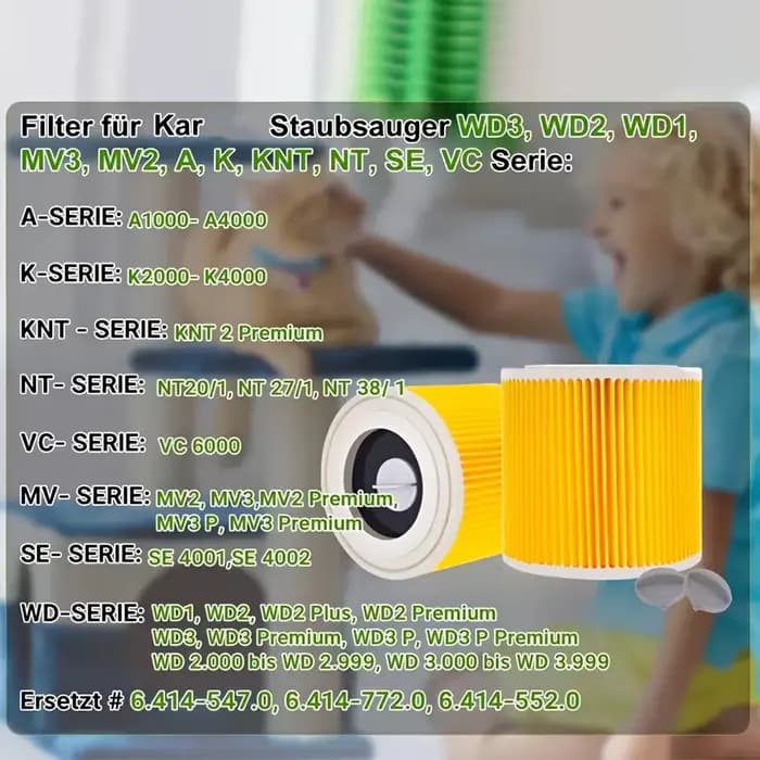 Lot de 2 filtres pour aspirateur avec joint central | Compatible avec les séries WD1