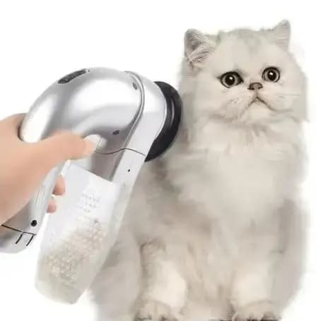 Aspirateur Électrique pour Poils d'Animaux de Compagnie