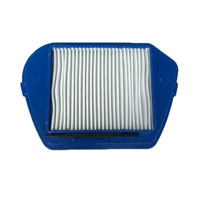 Hepa Dust Pound pour Rowenta RO53 Compacteo Ergo Cyclone-zr005501 Zyklon ZR00cape 1 Kit d'accessoires pour aspirateur Pièces RO535321