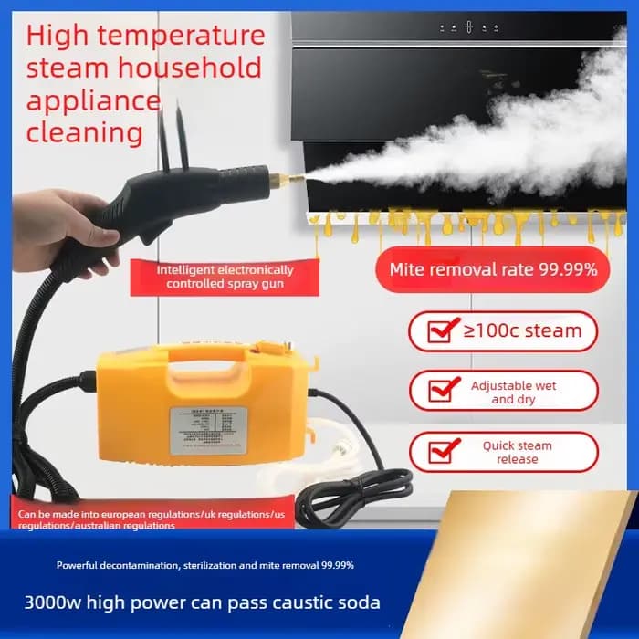 Nettoyeur Vapeur Électrique