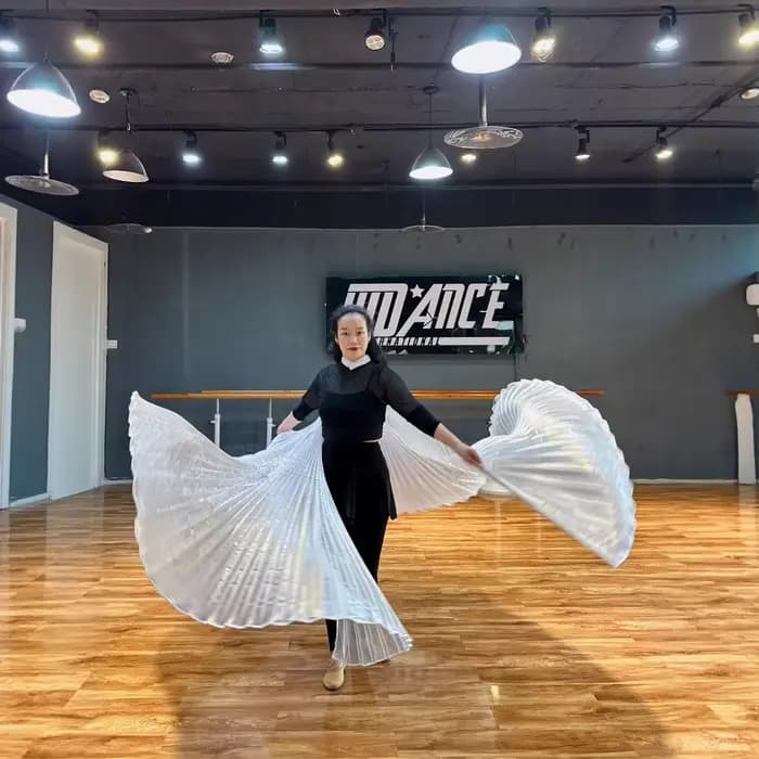 Ailes Isis de danse du ventre pour adultes