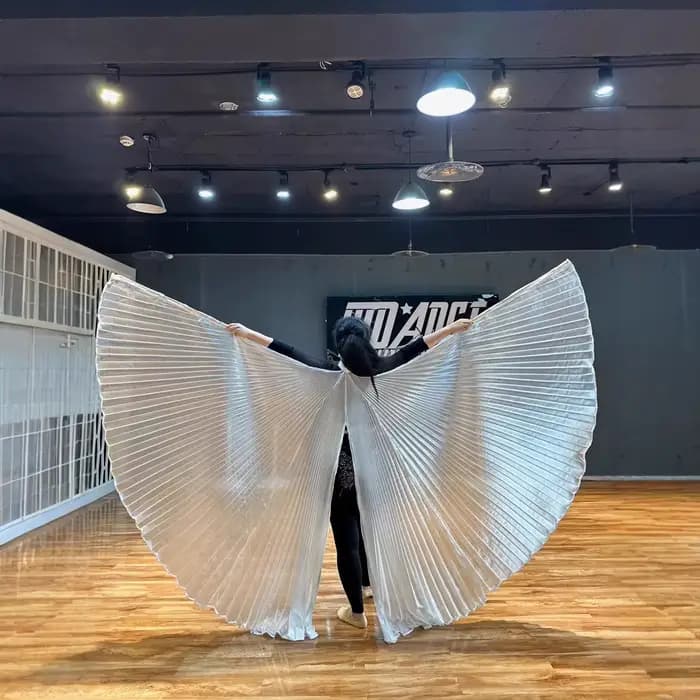 Ailes Isis de danse du ventre pour adultes