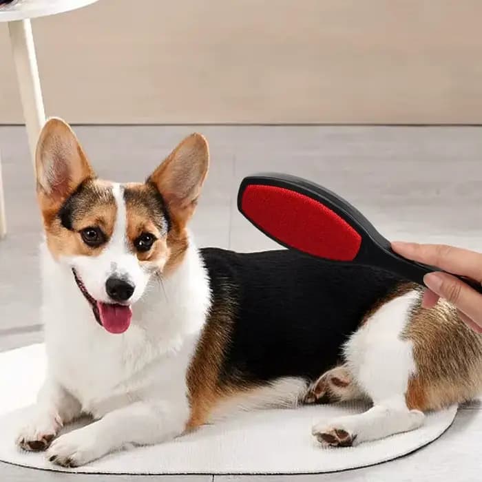 Brosse à peluches double face pour vêtements et poils d'animaux