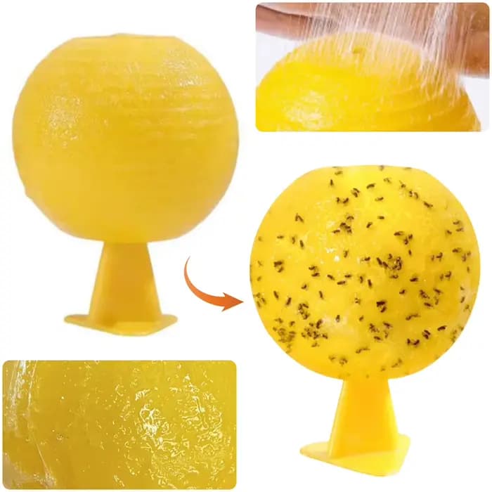 Pièges à mouches à fruits