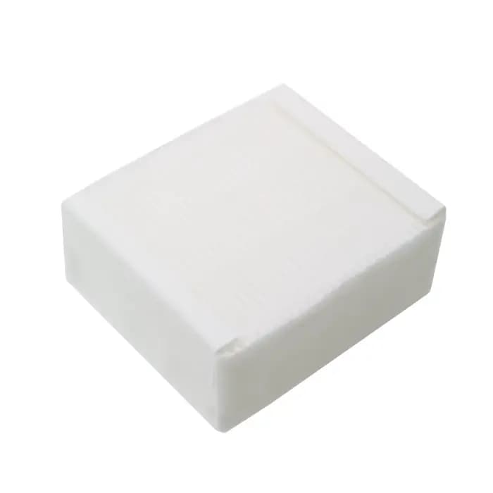 Filtre en mousse Filtre HEPA pour Thomas 787241
