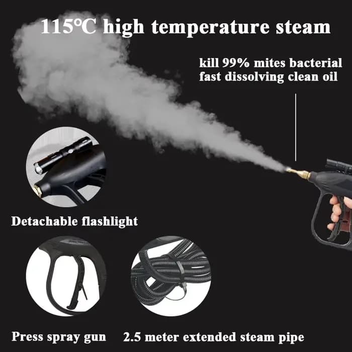 Nettoyeur à vapeur domestique