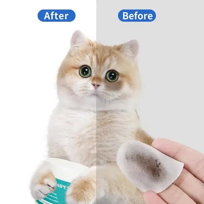 Produits de nettoyage pour animaux de compagnie lingettes pour les yeux pour éliminer les marques de déchirure