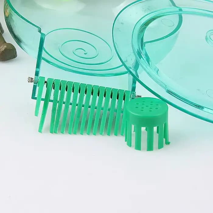 Attrape-escargot Transparent