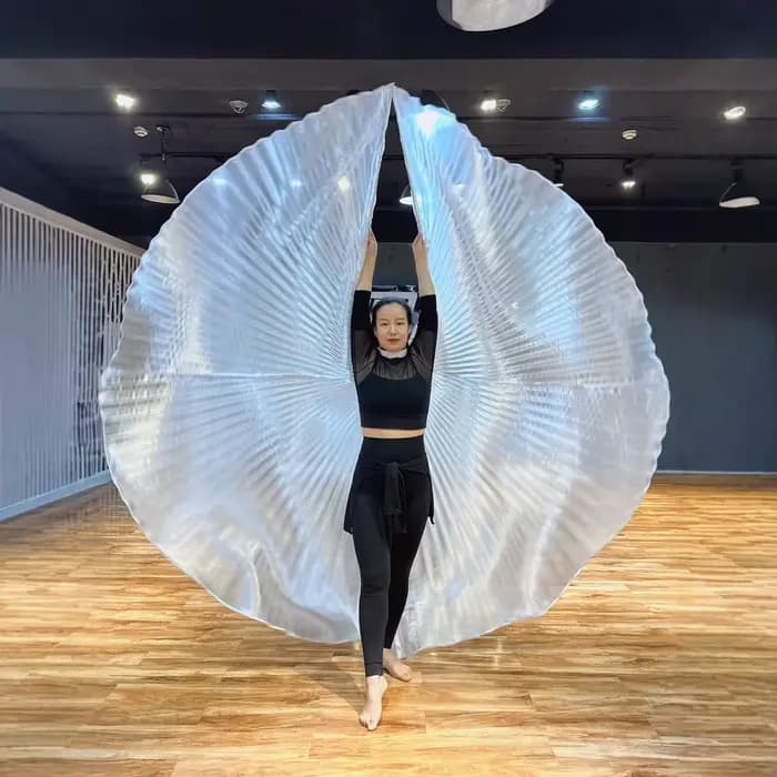 Ailes Isis de danse du ventre pour adultes