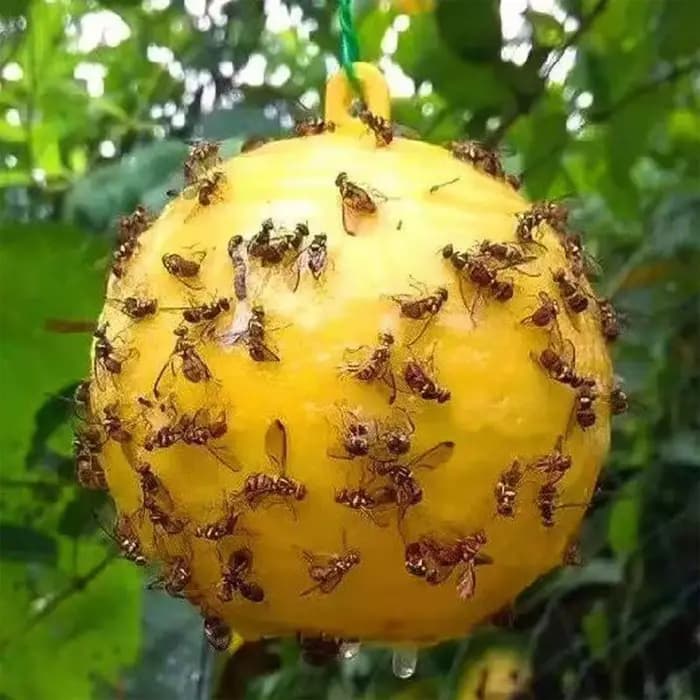 Piège à mouches suspendu