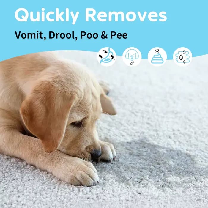 Nettoyant enzymatique pour tapis d'animaux