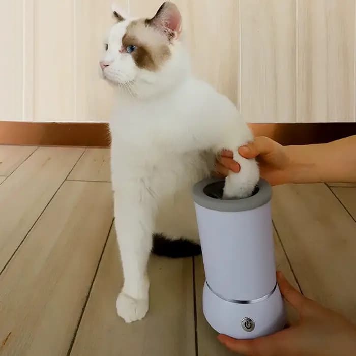 Lave-pattes de chien Portable