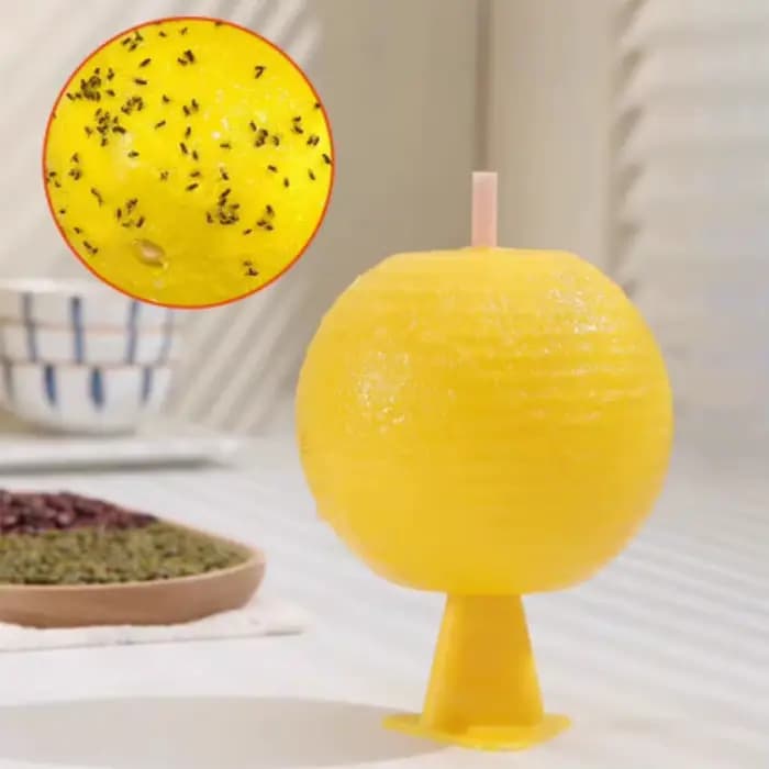 Pièges à mouches à fruits