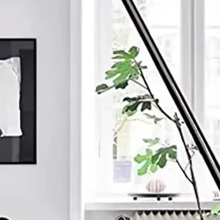 Tube d'extension d'aspirateur de remplacement