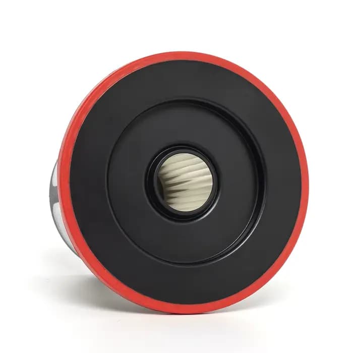 Filtre HEPA pour aspirateur Bosch série 6
