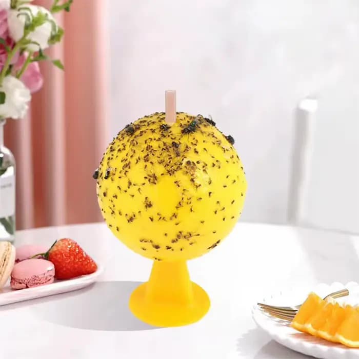 Pièges à mouches à fruits