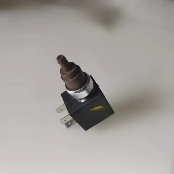 Nouvelle pompe électromagnétique pour nettoyeur vapeur Karcher