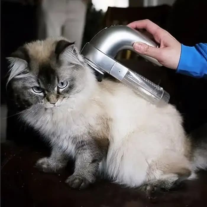 Aspirateur Électrique pour Poils d'Animaux de Compagnie