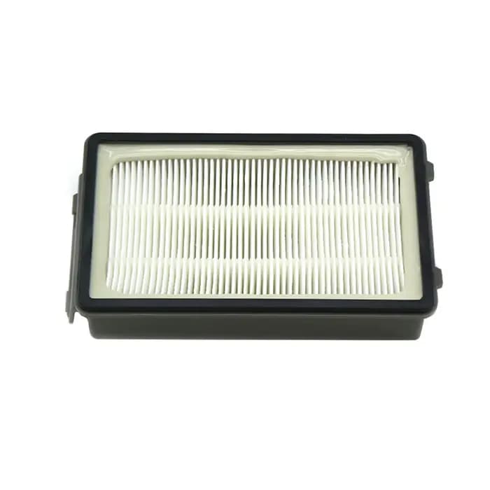 Filtre HEPA pour Rowenta Compact Power