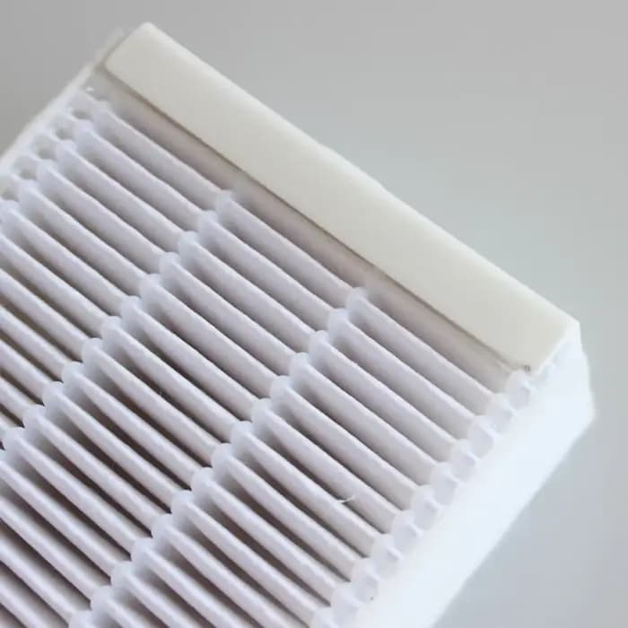 Ensemble de filtres pour aspirateur Thomas 787241