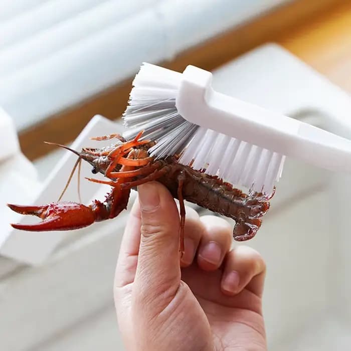 Brosses de nettoyage de cuisine pour usage domestique sur baignoire