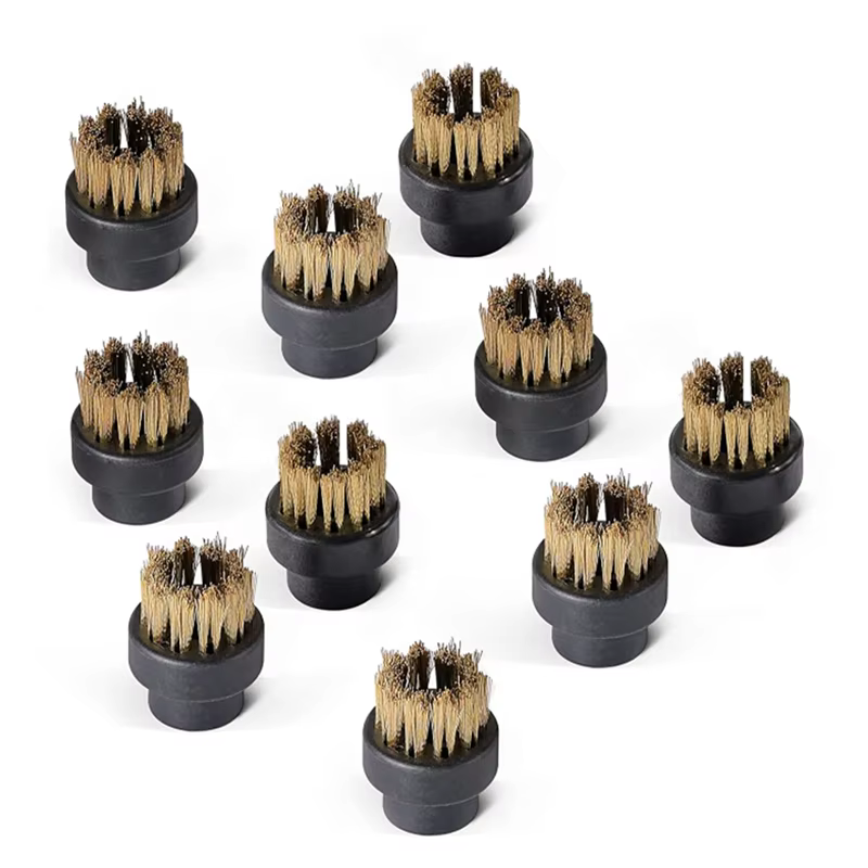 A76G-pour accessoires de nettoyeur vapeur Dupray-petites brosses en laiton (10 pièces) pour buses à