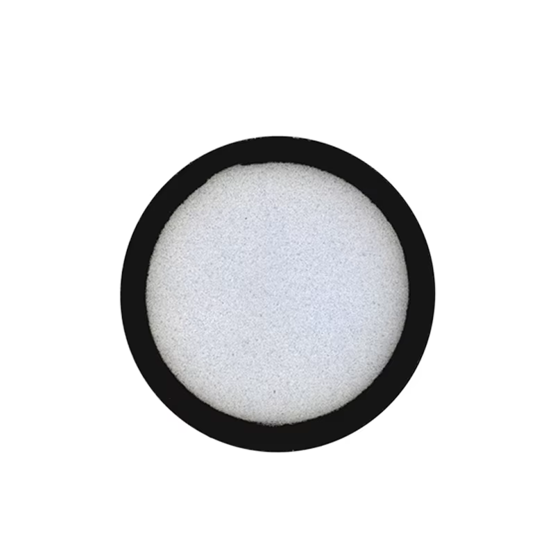 Filtre en mousse lavable pour aspirateur Philips PowerPro Aqua Duo FC6409 FC6171 FC6172 FC6405 FC6162 FC6168