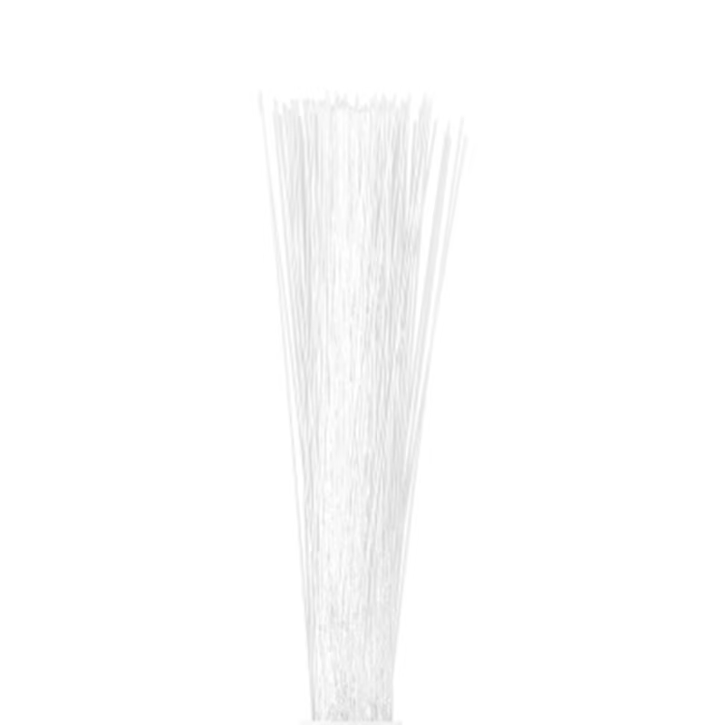 Brosse latérale pour iRobot Roomba série 500 600 700