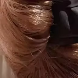 Pince à cheveux en forme de U avec nœud pour femmes, accessoire de usage quotidien pour filles, épingle à cheveux de Boutique noire élégante