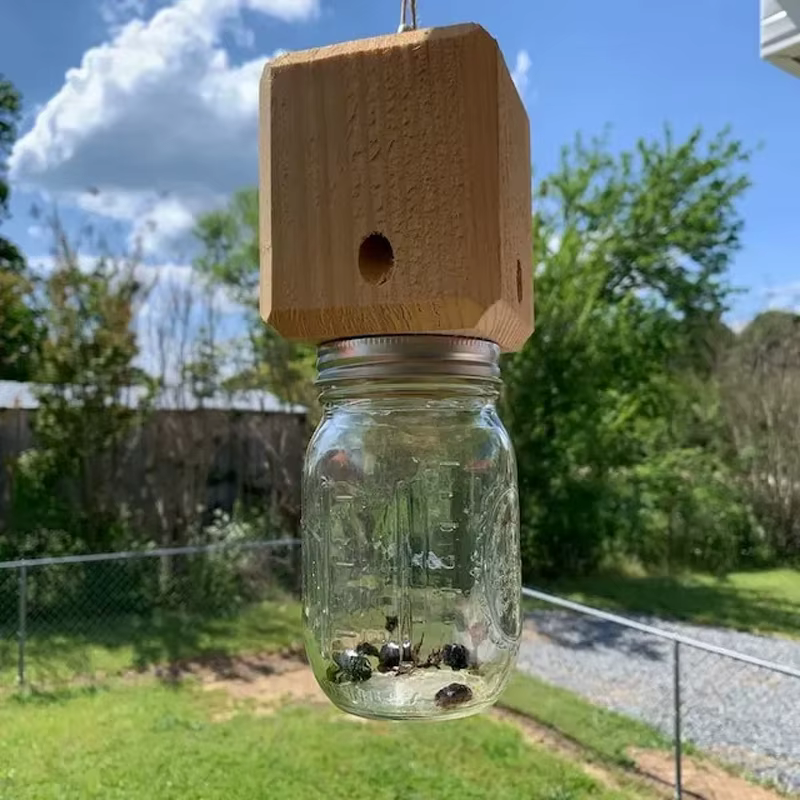 Piège à abeilles de charpentier pour l'extérieur, piège à abeilles de charpentier suspendu en bois de Style Pentroof naturel, pièges à insectes avec coffre-fort amovible