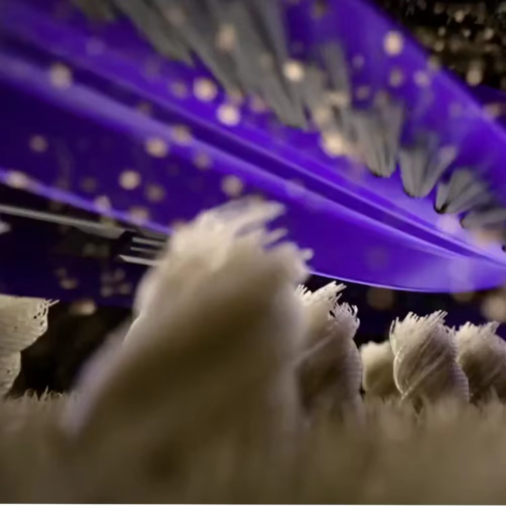Brosse à rouleaux originale Narwal pour accessoires d'aspirateur robot Flow