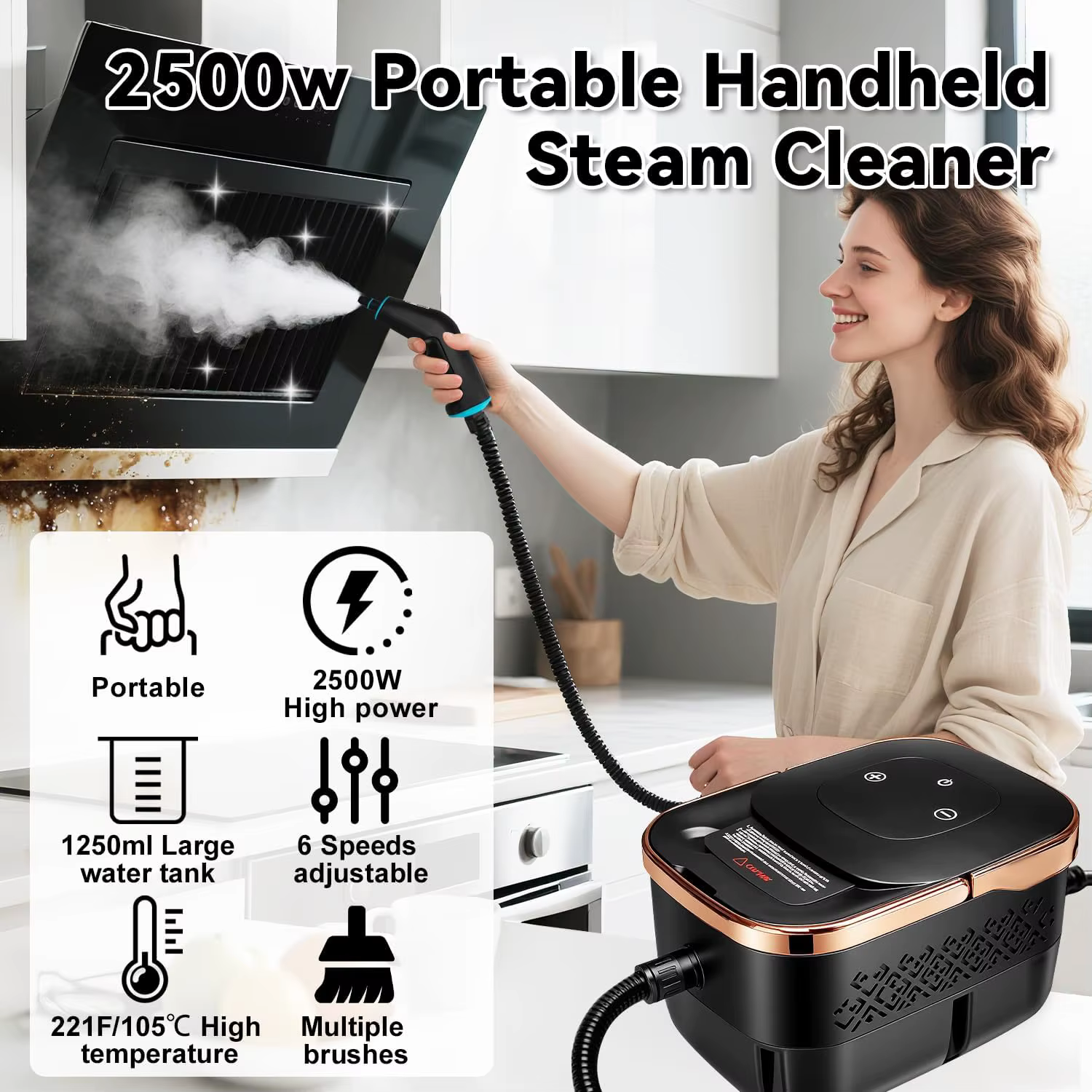 Nettoyeurs vapeur portatifs haute température 2500W pour climatiseurs