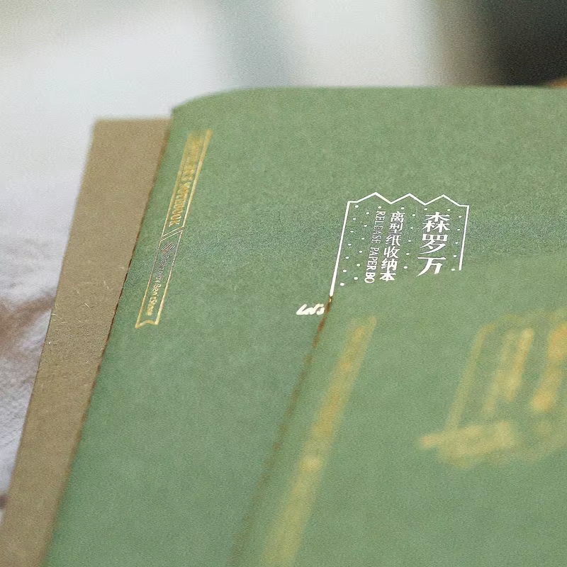 Fromthenon carnet de voyage remplacer la Page intérieure planificateur de passeport Standard remplacer les accessoires fournitures de papeterie de bureau