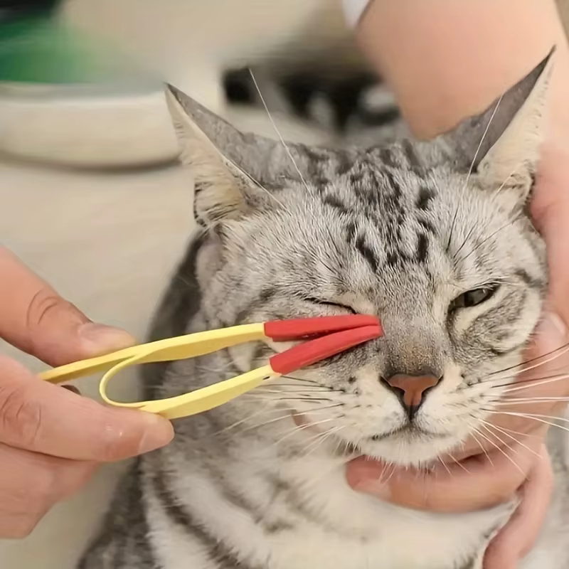 Peigne anti-taches pour animaux de compagnie, brosse de nettoyage douce des yeux de chien pour fournitures de toilettage pour animaux de compagnie, aucune électricité nécessaire, 1 pièce