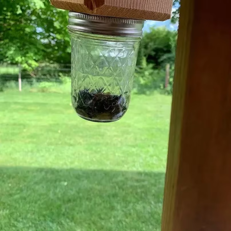 Nouvelle Piège à Abeilles Carpenter pour l'extérieur - Pièges à Abeilles Carpenter en Bois Suspendus Style Pentroof - Pièges à Insectes avec Niche Amovible