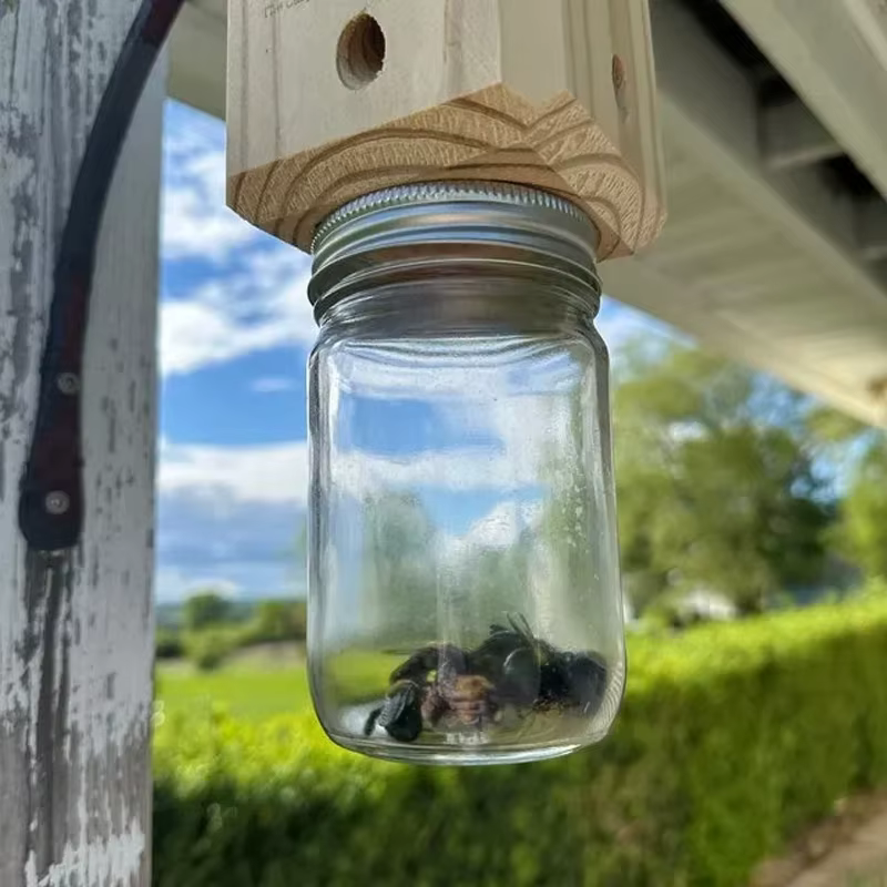Piège à abeilles de charpentier pour l'extérieur, piège à abeilles de charpentier suspendu en bois de Style Pentroof naturel, pièges à insectes avec coffre-fort amovible