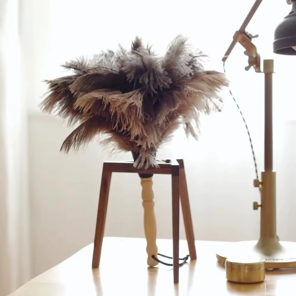 Plumeau à manche en bois, anti-statique, pour le dépoussiérage, plumeau en plumes d'autruche, brosse en fourrure pour le nettoyage de la maison