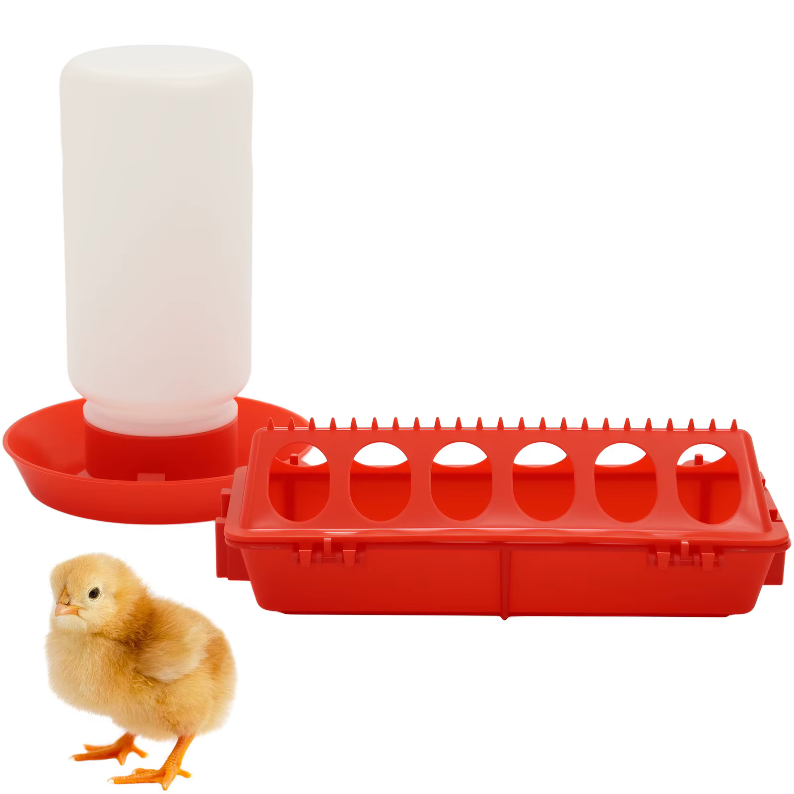 Mangeoire à poulet